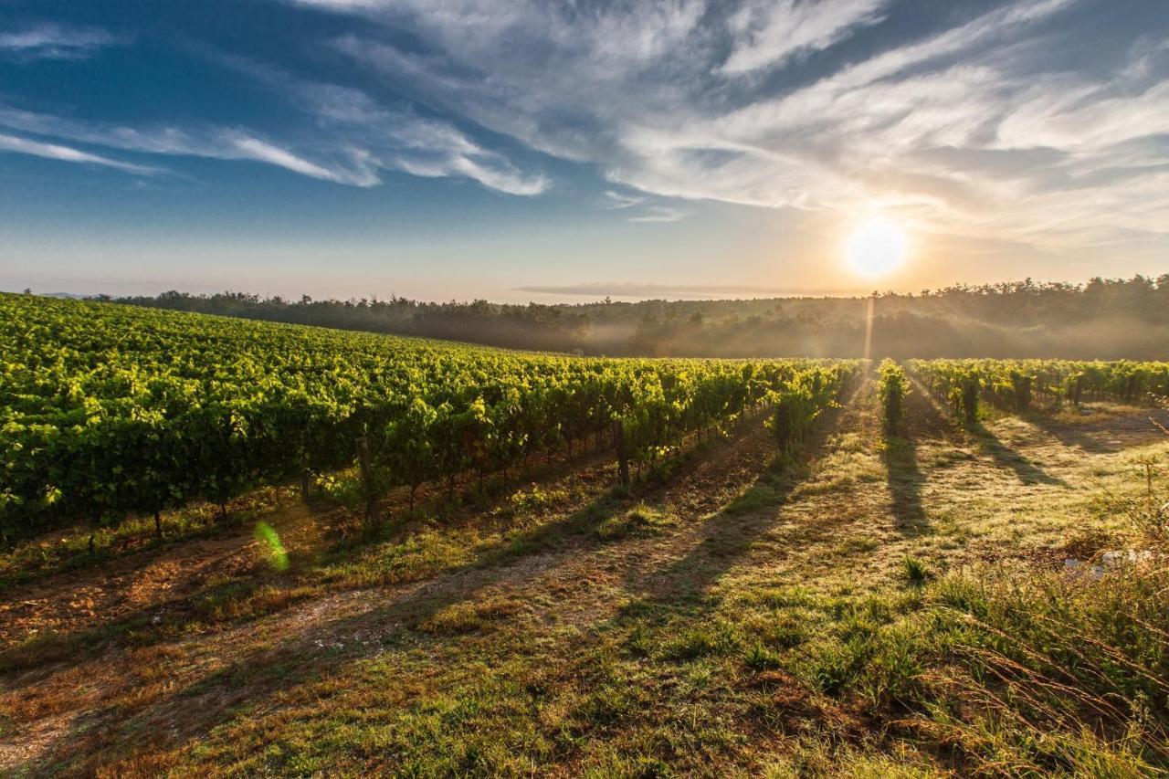 Il Palco Montepulciano, Vista Incredibile, 150Mt Da Piazza Grande Daire Dış mekan fotoğraf